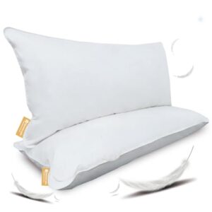 Consejos Para Comprar Almohadas De Pluma De Ganso Los 10 Mejores