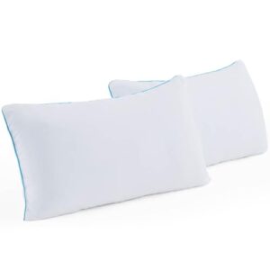 Catalogo Para Comprar On Line Almohada King Size Listamos Los 10 Mejores