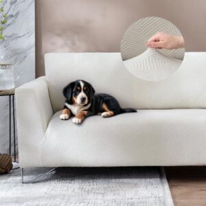 La Mejor Lista De Juegos De Textiles Para Comprar Hoy