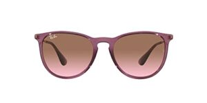 La Mejor Seleccion De Lentes Ray Ban Rosas Comprados En Linea