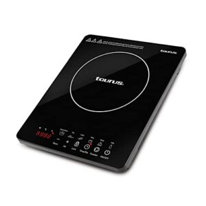 El Mejor Listado De Parrilla De Induccion Taurus Tabla Con Los Diez Mejores